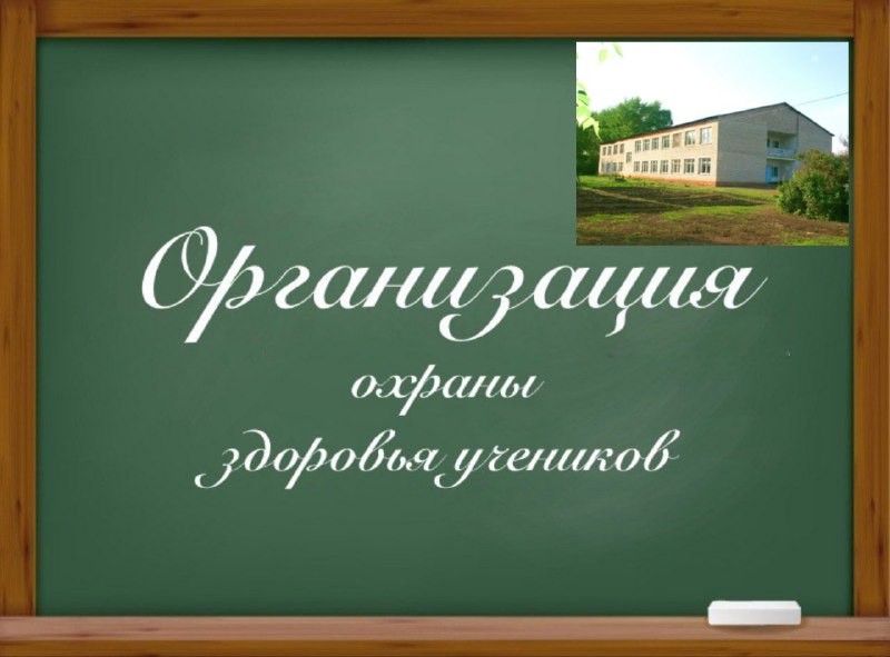 Организация охраны здоровья учеников.